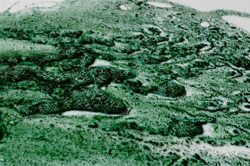 Spirulina powder blend